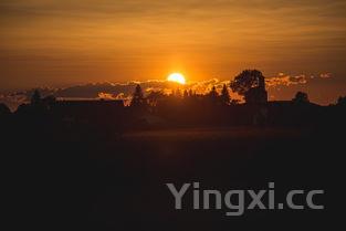 泰山日出洒,泰山日出酒怎么开