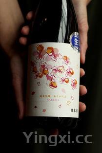 怎么开红酒快的瓶子,怎么开红酒快