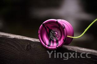 轩尼诗vs，轩尼诗和洋酒哪个更好