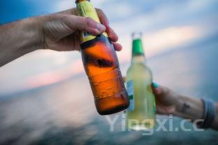 云南哪里的酒最好，云南那酒在哪里