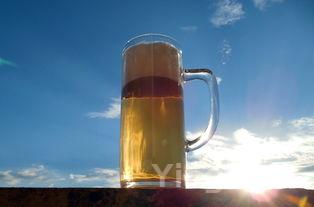 金士力酒怎么样，金士力酒怎么样好喝吗