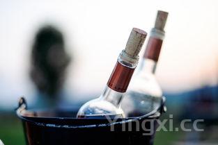 低醇葡萄酒有哪些,低醇葡萄酒的酿造工艺