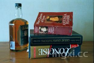 河套王的酒如何,河套王哪款酒好喝