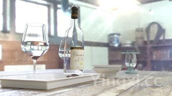 如何自制葡萄酒酵母,自制葡萄酒酵母怎么放