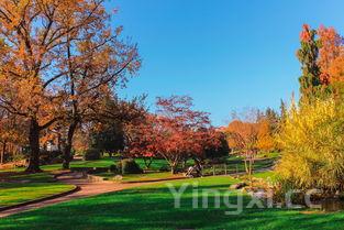 详细阅读:巴黎都有哪些花,巴黎都有啥 巴黎都有哪些花,巴黎都有啥