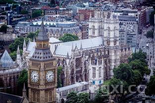 巴黎都有哪些花,巴黎都有啥