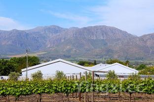 湖南贝哲斯怎么样，贝哲侬酒庄在哪个地区