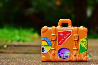 哪里有假的董酒卖,董酒真假