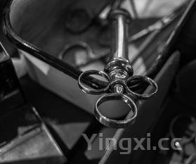 生肖纪念酒值得收藏吗,生肖纪念酒有哪些