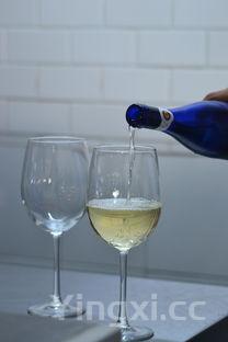 狮王干白葡萄酒价格,狮王红葡萄酒怎么样