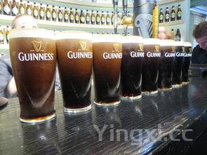 柳湖春酒价格,柳湖春酒厂