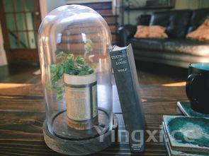 雪花啤酒哪个地方的,哪里人最喜欢和雪花啤酒