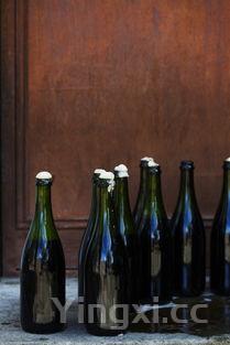 雪莲酒怎么泡,雪莲酒怎么做