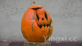 茶叶蛋怎么做的全过程视频,茶叶蛋怎么做小视频