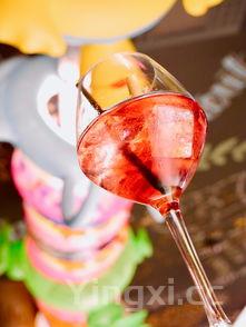 法国酒类,法国酒有哪些品种