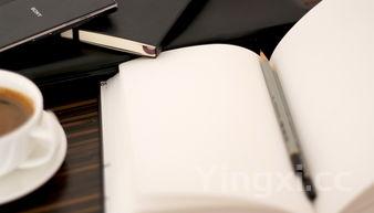 国窖如何鉴别,国窖真伪查询软件