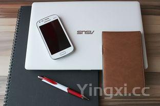 田螺图片,田螺图片大全大图