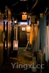 该如何藏酒,如何藏酒窖