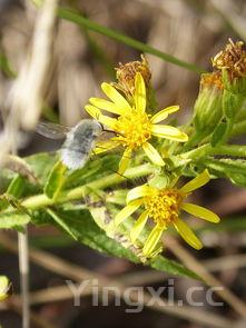 详细阅读:菠菜做法大全家常做法,菠菜的做法大全 菠菜做法大全家常做法,菠菜的做法大全