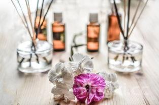 无花果露酒的药用价值，无花果露酒口味如何