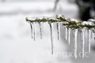 详细阅读:伏特加如何冷冻,伏特加可以冻成冰吗 伏特加如何冷冻,伏特加可以冻成冰吗