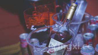 轩尼诗怎么喝,轩尼诗怎样喝