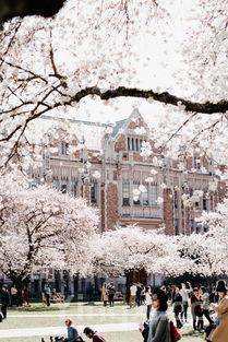 三沟酒业产品展示中心,三沟酒业总部在哪里