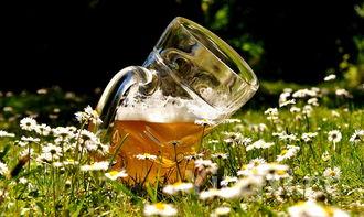 小麦酒都有哪些，小麦酒特点