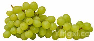 什么葡萄最贵最好吃，哪些葡萄贵