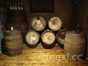 口子窖酒属于哪个档次，口子窖是哪个酒厂的