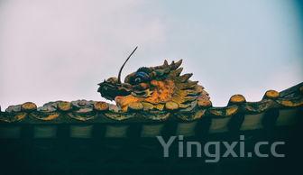 端午节的起源，端午节的起源与龙图腾崇拜相关以下哪个不是龙九子