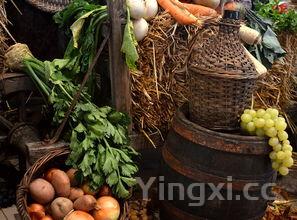 葡萄酒是陈的好还是新鲜的好,为什么陈葡萄酒更贵