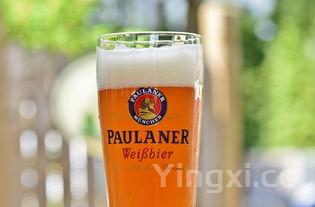 啤酒酵母是如何分类的,啤酒酵母是如何分类的呢