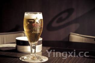 啤酒酵母是如何分类的,啤酒酵母是如何分类的呢