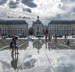 法国买拉菲便宜吗,巴黎哪里买法国拉菲