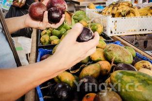 木瓜什么人不适合吃，木瓜什么样的人和病不能吃