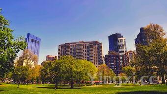 巴中全丰酒怎么样，四川全丰酒怎么样