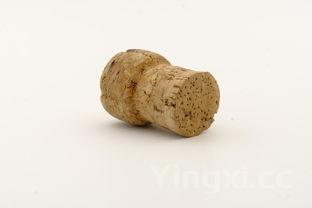 怎么装红酒瓶塞视频，怎么装红酒瓶塞