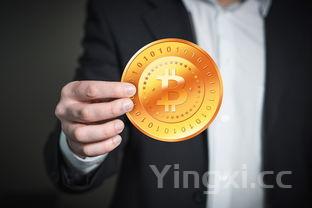 蛋糕的制作过程及步骤文字,蛋糕的制作过程及步骤