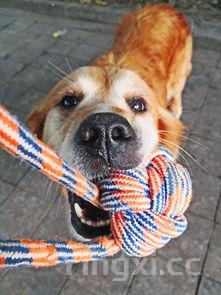 蓝瘦香菇图片大全 头像,蓝瘦香菇图片