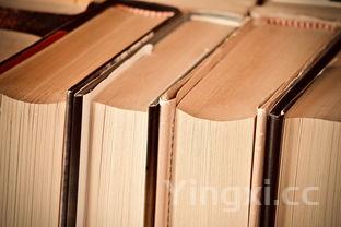 十秒折一个萝卜刀,十秒折一个萝卜刀迷你四年级上册