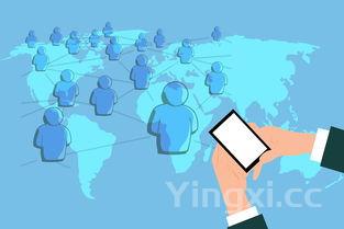 白酒销售前景怎么样,白酒销售行业前景