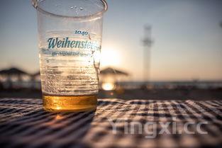 丹麦啤酒属于哪个国家生产,丹麦啤酒属于哪个国家