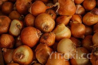 生淹蒜生腌蒜苔怎么腌才好吃，生腌蒜苔的简单做法