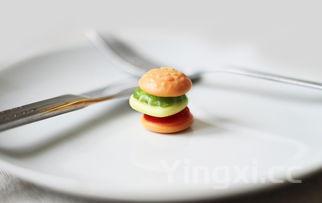 学做寿司学费多少钱，学做寿司学费多少钱一个月