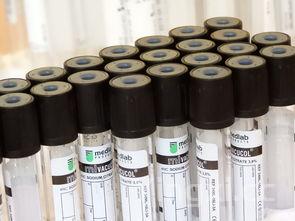 配制酒设备都有哪些，配制酒生产技术