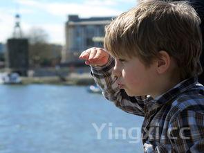 蓝瘦香菇哥，蓝瘦香菇小哥