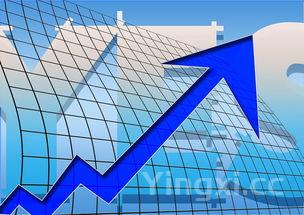 A股怎么区分，洒股怎么