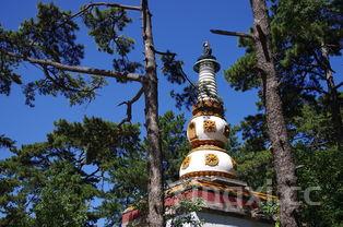 承德山庄老酒价格，承德德庄酒的价格