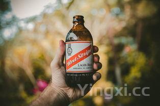 蓝博力啤酒官方，蓝博力啤酒怎么样